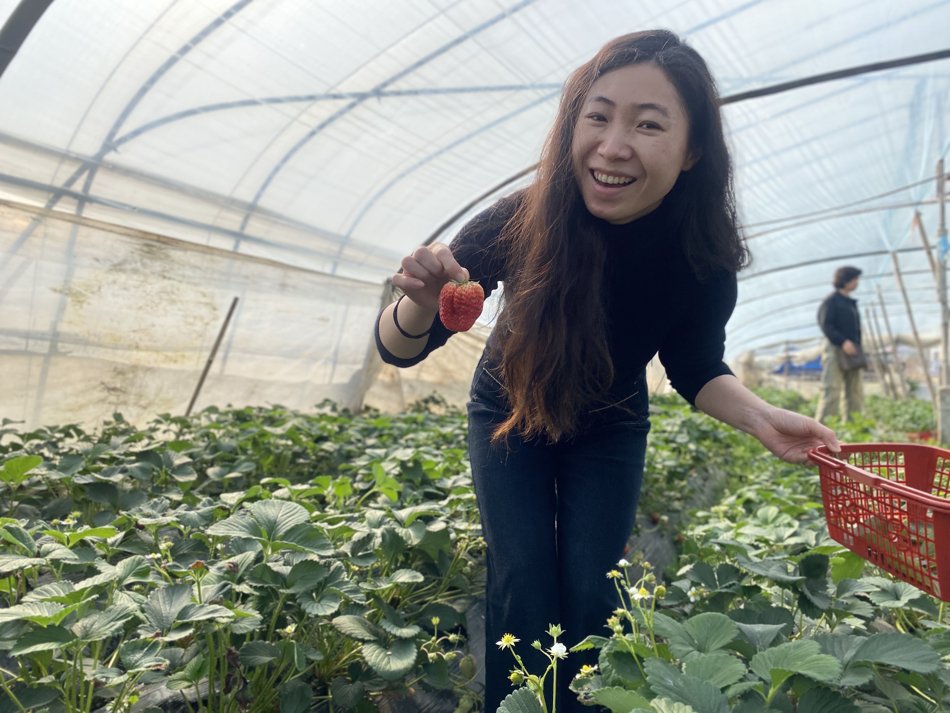 1741569683786754.jpg 555ecedfd6acaa163846c1c1f5ac137.jpg